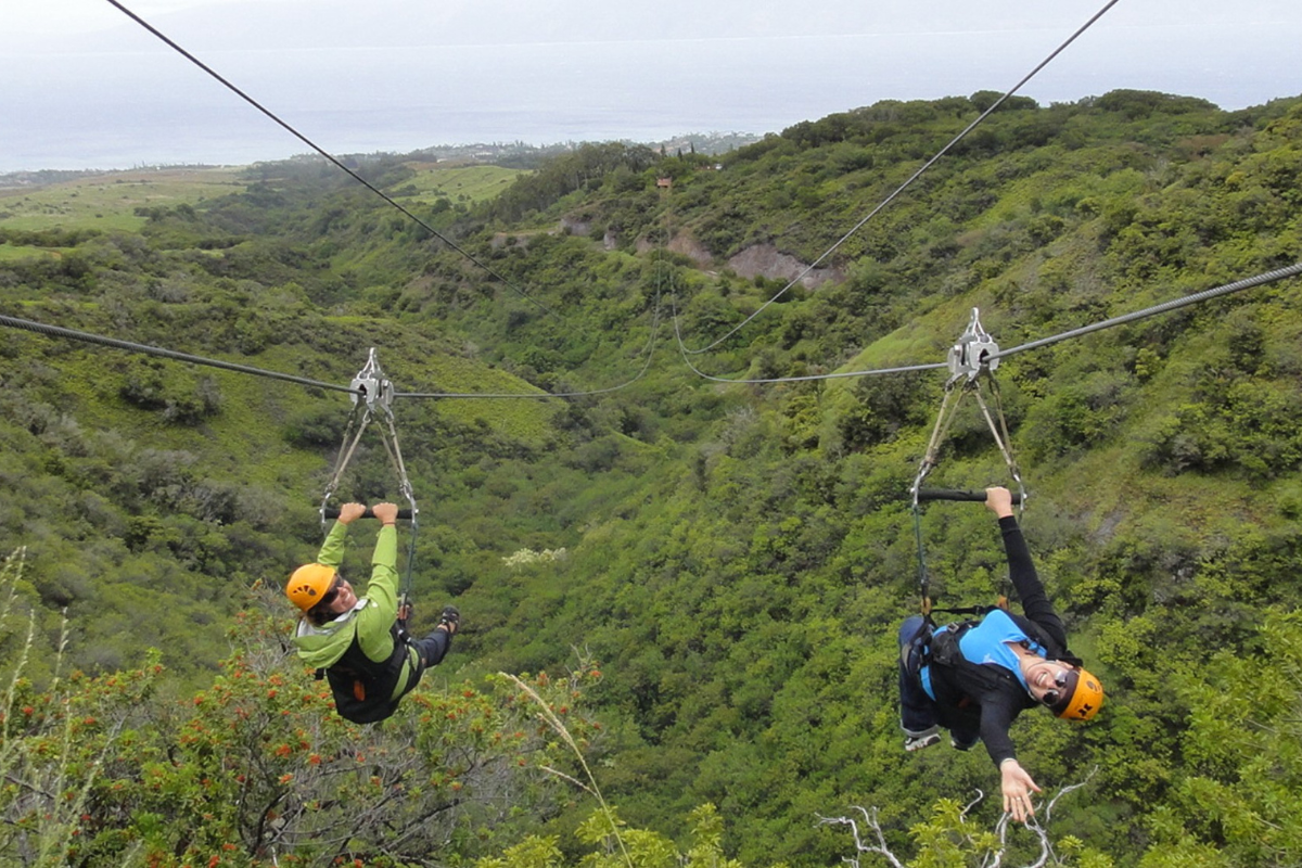 Guests ziplining over a verdant canyon on Maui—an exciting things to do in Maui experience.