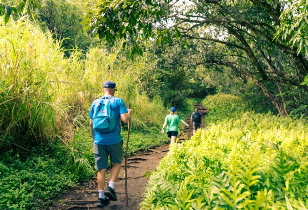 Hikers walking along a lush tropical trail